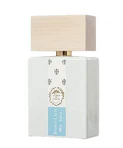 Perfume bottle on white background