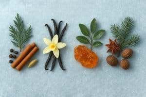 A collection of winter fragrance botanicals